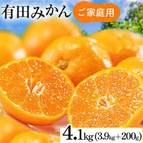 【先行予約】【数量限定】濃厚有田みかん(ご家庭用) 5kg+200g(傷み補償分) ※2025年10月上旬～2026年1月中旬頃に順次発送予定 ※北海道・沖縄・離島への配送不可 