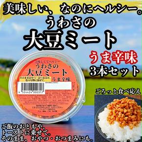大豆 加工品 うわさの大豆ミート うま辛味 80g×3本 セット 健康 ヘルシー 