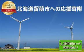 北海道留萌市 寄附のみの応援受付 1,000円コース（返礼品なし 寄附のみ 1000円）