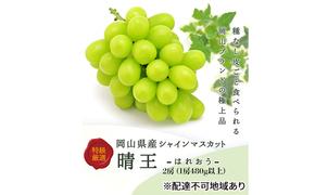 ぶどう 2025年 先行予約 シャインマスカット晴王2房(1房480g以上) 化粧箱入り ブドウ 葡萄 岡山県産 国産 フルーツ 果物 ギフト 