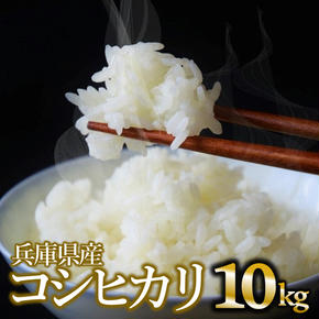 【令和６年産 コシヒカリ】白米10kg（10kg×1袋）2024年産(23-6)米 お米 米10kg お米10kg 兵庫県産 こしひかり コシヒカリ 西脇市産 令和６年産 R６年産 2024年産 精米