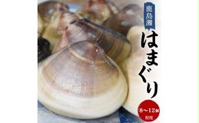 【12月22日入金確認分まで年内発送】鹿島灘はまぐり【ハマグリ 蛤 海鮮 貝 魚貝 鹿嶋市 茨城県 20000円以内 2万円以内）（KM-2）