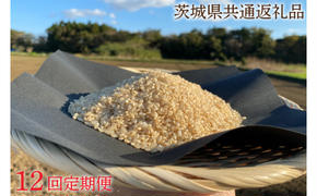 【12ヶ月定期便】【できるだけ農薬を減らした】R7年産 マキタ超こしひかり 玄米10kg×12回【茨城県共通返礼品・行方市産】【おいしい お米 マキタ 減農薬 安心 げんまい  鹿嶋市】（KBE-82）