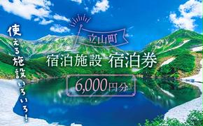 リピーター多数★ 宿泊券 山小屋含む宿泊施設 6,000円分 富山 とやま 立山 たてやま 登山 山登り 山歩き トレッキング アルペンルート 商品券 チケット 宿 宿泊 温泉 旅行 旅 観光 6000 6000円 富山県 立山町 F6T-431