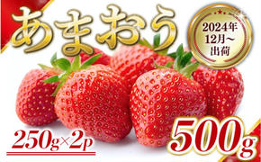 いちご 福岡県産 あまおう 500g (250g×2パック) 先行予約 2024年12月より順次発送 果物 デザート ※配送不可：離島