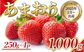 いちご 福岡県産 あまおう 1000g (250g×4パック) 先行予約 2025年1月より順次発送 果物 デザート ※配送不可：離島