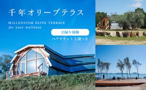 【 小豆島 】千年オリーブテラス for your wellness 日帰り体験 （入園つき） ペアチケット マインドフルネス体験 体験 体験チケット 旅行 旅 オリーブテラス 日帰り チケット ペア 香川 香川県 土庄 土庄町