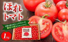 高糖度「ほれトマト」1kg　極上 ミニトマト 糖度10度以上 | トマト とまと ミニトマト フルーツトマト 野菜 やさい 人気 新鮮 産地直送 甘い 高糖度 完熟 ジューシー 食べやすい ※2026年6月～発送