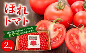 高糖度「ほれトマト」2kg　極上 ミニトマト 糖度10度以上 | トマト とまと ミニトマト フルーツトマト 野菜 やさい 人気 新鮮 産地直送 甘い 高糖度 完熟 ジューシー 食べやすい ※2026年6月～発送