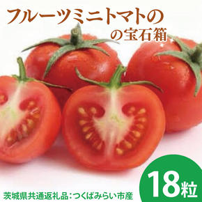【先行予約】フルーツミニトマトの宝石箱 18粒（茨城県共通返礼品：つくばみらい市産）※2026年1月上旬～3月下旬頃に順次発送予定（CD090）
