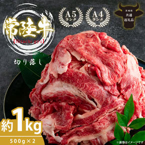 最高級A4.A5ランク 常陸牛 切り落し 1kg（約500ｇ×2）【人気肉 お肉 牛肉 和牛 黒毛和牛 国産黒毛和牛 モモ 肩 切り落とし 国産牛 A5 A4 すき焼き 牛丼 ブランド牛】(CR006)