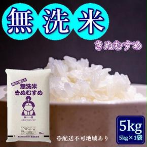 令和6年産 無洗米 きぬむすめ 5kg (5kg×1袋) 岡山県産 お米