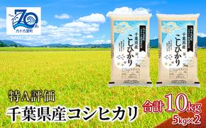 米 千葉県産コシヒカリ5kg×2 こしひかり セット お米 特A評価 精米 ふっくら もっちり 粘り気 旨み 香り ツヤ やわらかい 歯ごたえ 九十九里町 千葉県