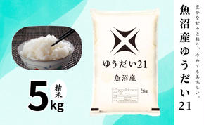 【令和6年産】魚沼産ゆうだい21(精米)5kg 米 お米 精米 ゆうだい 中魚沼 新潟県 十日町市