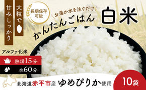 先行予約 北海道赤平市産ゆめぴりか使用！ 白米 100g 10袋セット 大粒で甘みしっかり アルファ米 保存食 非常食 長期保存 アルファ化米