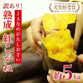 【2025年1月より順次発送】【訳あり】行方かんしょ「紅こがね」さつまいも約5kg（洗い・不揃い・C品）(AE-108)