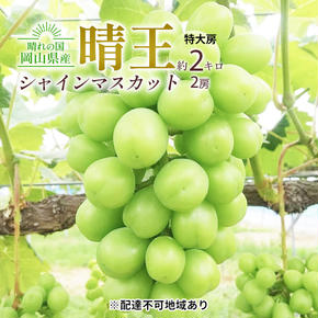 ぶどう 2025年 先行予約 シャイン マスカット 晴王 特大房 2房入り 合計約2kg 大粒 種無し ブドウ 葡萄 岡山県産 国産 フルーツ 果物 ギフト 橋田商店