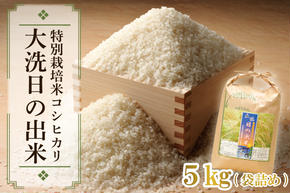 米 5kg 低農薬米 大洗 日の出米 コシヒカリ 令和6年産 特別栽培米 コメ こめ 送料無料