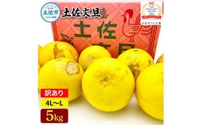 日本ギフト大賞受賞 園主こだわり土佐文旦 訳あり(4L～L）5kg 5キロ 文旦 土佐文旦 ワケアリ ぶんたん ぼんたん フルーツ 果物 柑橘 みかん 蜜柑 家庭用 自宅用 高知 土佐 国産 常温