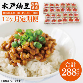 【12ヶ月定期便】水戸納豆 小粒 12個(1箱6個入り×2)｜納豆 水戸納豆 定期便 小粒 小粒納豆 茨城県 行方市(BD-5)