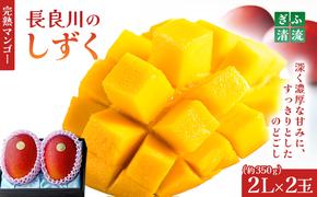ぎふ清流完熟マンゴー2個入り ※クレジット決済のみ｜果物 フルーツ ※北海道・沖縄・離島への配送不可