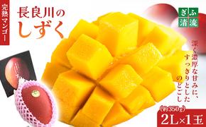 ぎふ清流完熟マンゴー1個入り ※クレジット決済のみ｜果物 フルーツ 旬 採れたて お取り寄せ お取り寄せグルメ デザート スイーツ おやつ 贈答用 贈り物 ギフト プレゼント ※北海道・沖縄県・離島への配送不可 ※2026年6月中旬～7月下旬頃に順次発送予定