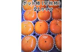 【先行予約】こだわり栽培ポット柿（早秋柿） 2Lサイズ12個入り | 柿 かき カキ 早秋柿 早生品種 甘い ジューシー フルーツ くだもの 果物 秋の味覚 おやつ スイーツ 産地直送 先行 予約 送料無料 岐阜県 瑞穂市 ※離島への配送不可  ※2026年10月中旬～11月上旬頃に順次発送予定