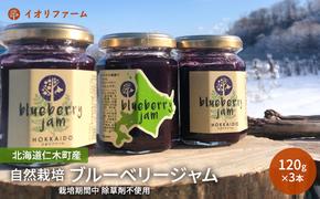 北海道仁木町産 ブルーベリージャム 120g×3本 [iori farm] 栽培期間中 除草剤不使用 果物 詰合せ セット フルーツ 