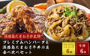 プレミアムハンバーグとたまねぎ牛丼 食べ比べセット　　[ハンバーグ 牛丼の具 ハンバーグ 牛丼 食べ比べ]