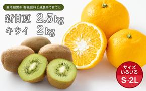 片山農園の淡路島産新甘夏2.5kgとキウイ2.0kg【サイズいろいろS～2Lサイズ】