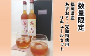 【数量限定】濃いめのお酒 飲み比べ 500ml×2本セット（苺のお酒/梅のお酒）