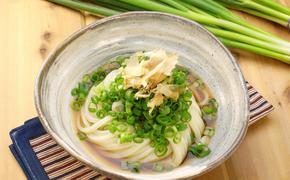 うどん つゆ セット 讃岐のねぎ うどんセット 丸亀 讃岐 讃岐うどん さぬきうどん 半生うどん ぶっかけ 麺類 加工食品 惣菜