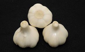 生にんにく（新物）約3kg 野菜 野菜セット ニンニク 