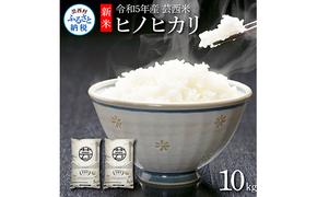 KNK019　芸西米（げいせいまい） "ヒノヒカリ" 10kg 5kg×2袋 令和5年 高知の温暖な気候で育った芸西米 ※お申込み後に精米したての コメ を出荷いたします。令和5年産 米 ひのひかり 新米 白米 お米 美味しい もっちり 硬め 国産 高知県産 8000円