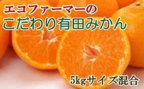 エコファーマーのこだわり有田みかん5kg(サイズ混合)※2024年11月中旬～2025年1月中旬頃に順次発送予定