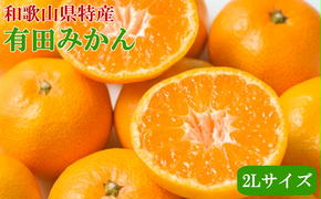 [秀品]和歌山有田みかん6kg（2Lサイズ） ※2024年11月中旬～2025年1月中旬頃に順次発送予定