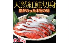 和歌山魚鶴仕込の天然紅サケ切身 約2kg◇