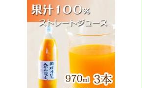 果汁１００％田村そだちみかんジュース　970ml×3本