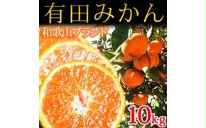 完熟有田みかん10kg
※2024年11月下旬?2025年1月下旬頃に順次発送予定