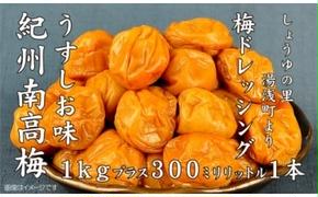 紀州南高梅うすしお味梅干し1kg梅ドレッシング1本　美浜町 ※離島への配送不可