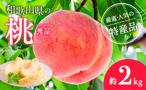 [産直・人気の特産品]和歌山の桃 約2kg・秀品◇ | モモ 国産 フルーツ お取り寄せ ギフト ※北海道・沖縄・離島への配送不可 ※2025年6月下旬〜8月上旬頃に順次発送予定