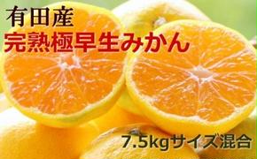 【手選別】紀州有田の完熟極早生みかん約7.5kg(サイズ混合・秀品) ※2025年10月下旬～11月上旬頃に順次発送予定 ふるさと納税 ミカン