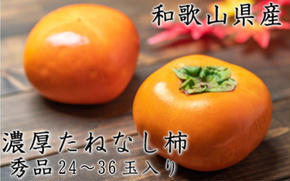 【先行予約】【秋の美味】【和歌山ブランド】濃厚たねなし柿 秀品 L〜４Lサイズ 約7.5kg入り ◇ ※沖縄地域へのお届け不可 ※2025年10月上旬～11月上旬頃に順次発送予定【GO-02】
