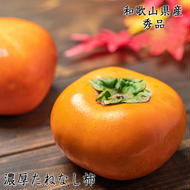 【先行予約】【秋の美味】【和歌山ブランド】濃厚たねなし柿　秀品　Mサイズ　約７.５kg入り
※沖縄地域へのお届け不可
※2025年10月上旬～11月上旬（順次発送）【GO-01】