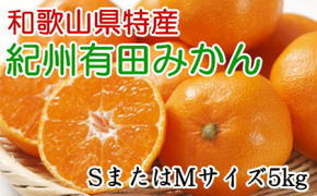 [秀品]和歌山有田みかん5kg(SサイズまたはMサイズのいずれかをお届け) ※2024年11月中旬～2025年1月中旬頃に順次発送予定