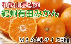 [秀品]和歌山有田みかん5kg(MサイズまたはLサイズのいずれかをお届け) ※2024年11月中旬～2025年1月中旬頃に順次発送予定