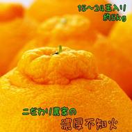 【先行予約】こだわり農家の濃厚不知火（デコポンと同品種） 15～24玉（約5kg）| デコポン 不知火 でこぽん しらぬい 柑橘 5kg 果実 フルーツ 先行予約 冬 農家直送 濃厚 ※2026年2月上旬～3月下旬頃に順次発送予定