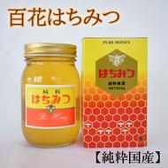 【純粋国産】和歌山県産百花はちみつ600g
※2025年1月中旬～1月下旬頃に順次発送予定