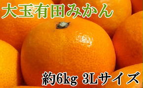 [秀品]和歌山有田みかん6kg(3Lサイズ)
※2024年11月中旬～2025年1月中旬頃に順次発送予定