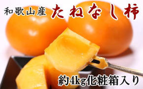 【厳選・産直】和歌山産のたねなし柿2L～4Lサイズ約4kg（化粧箱入り） ※2025年10月上旬～11月上旬頃に順次発送予定 ※離島への配送不可